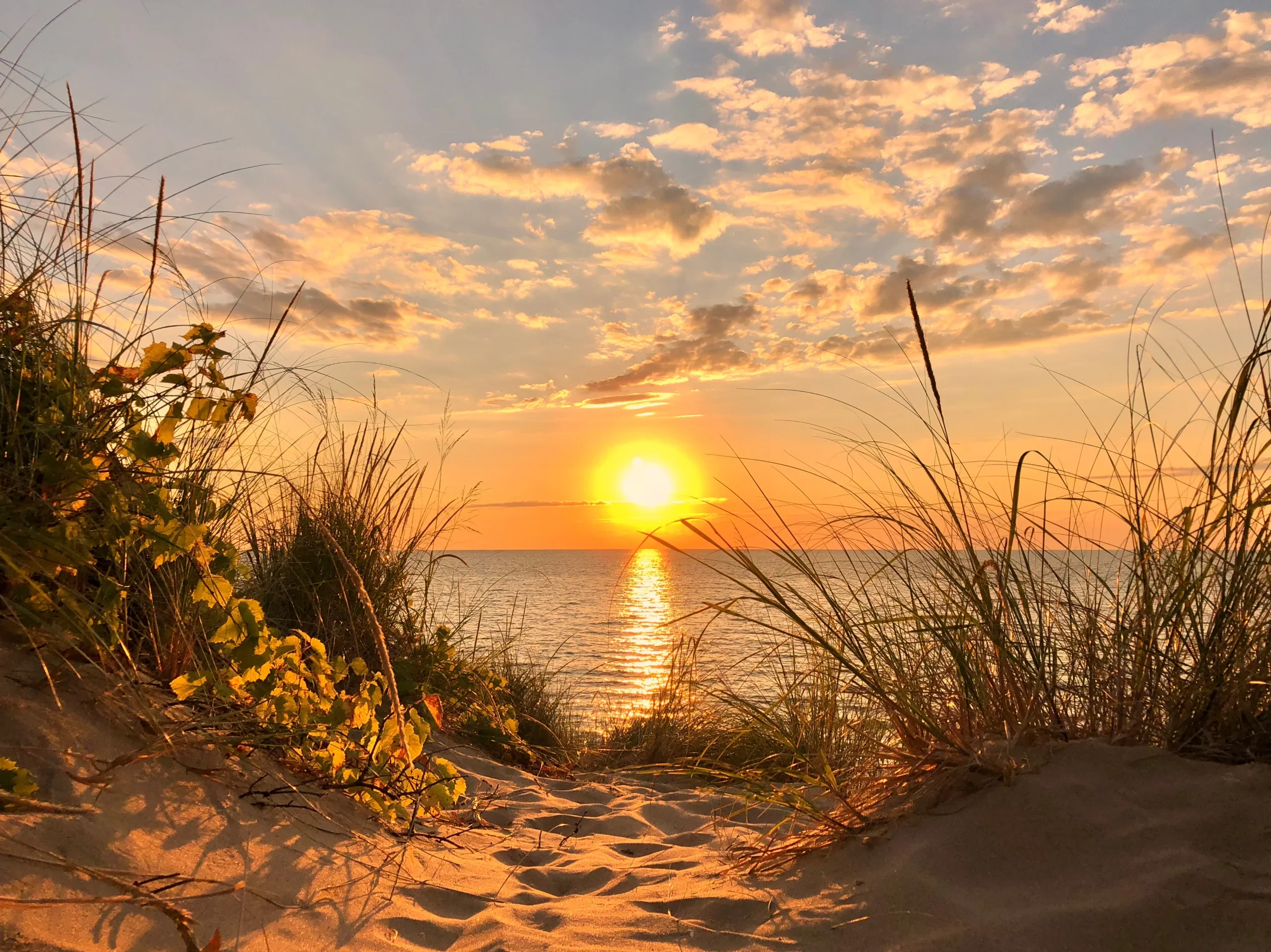 Michigan