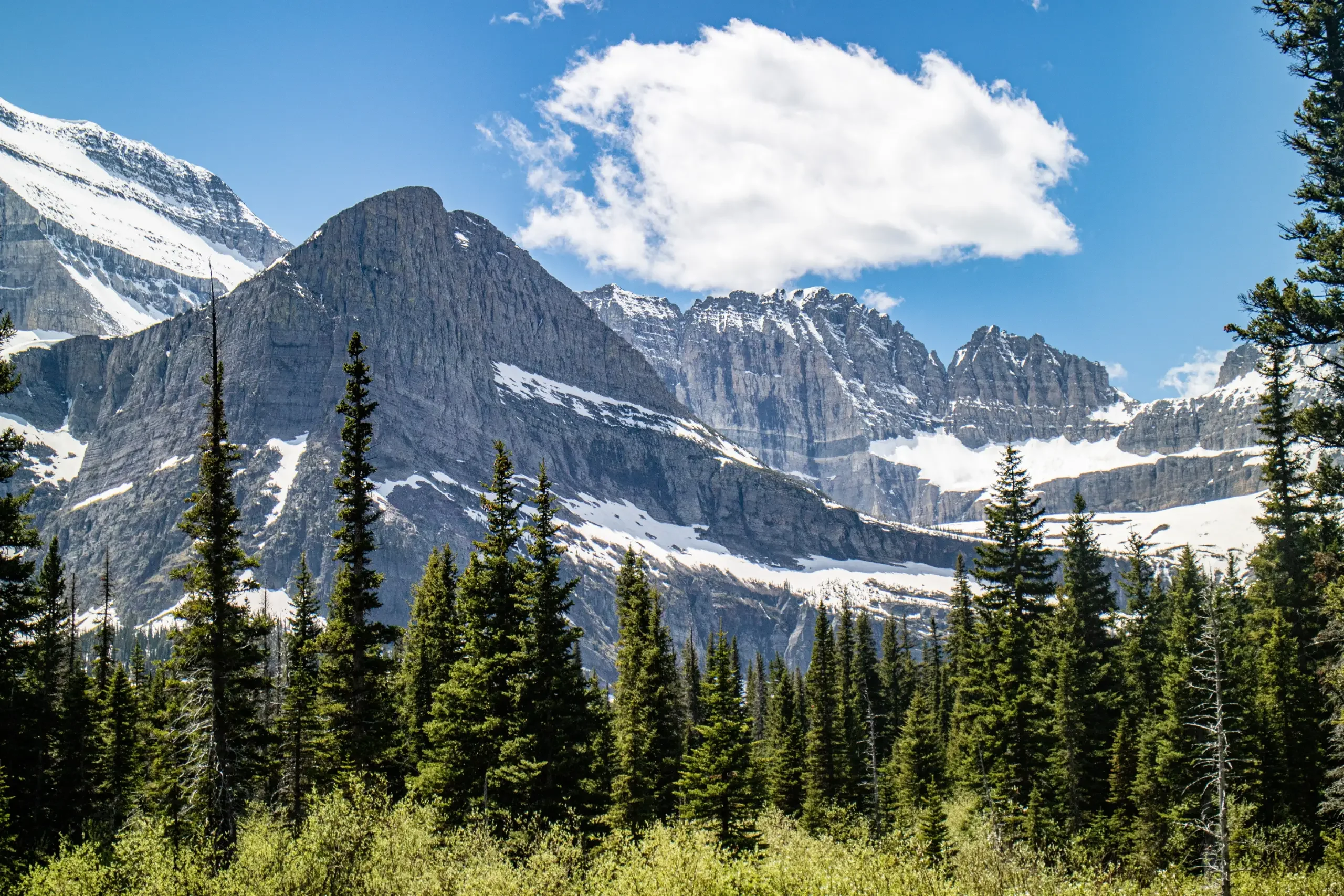 Montana