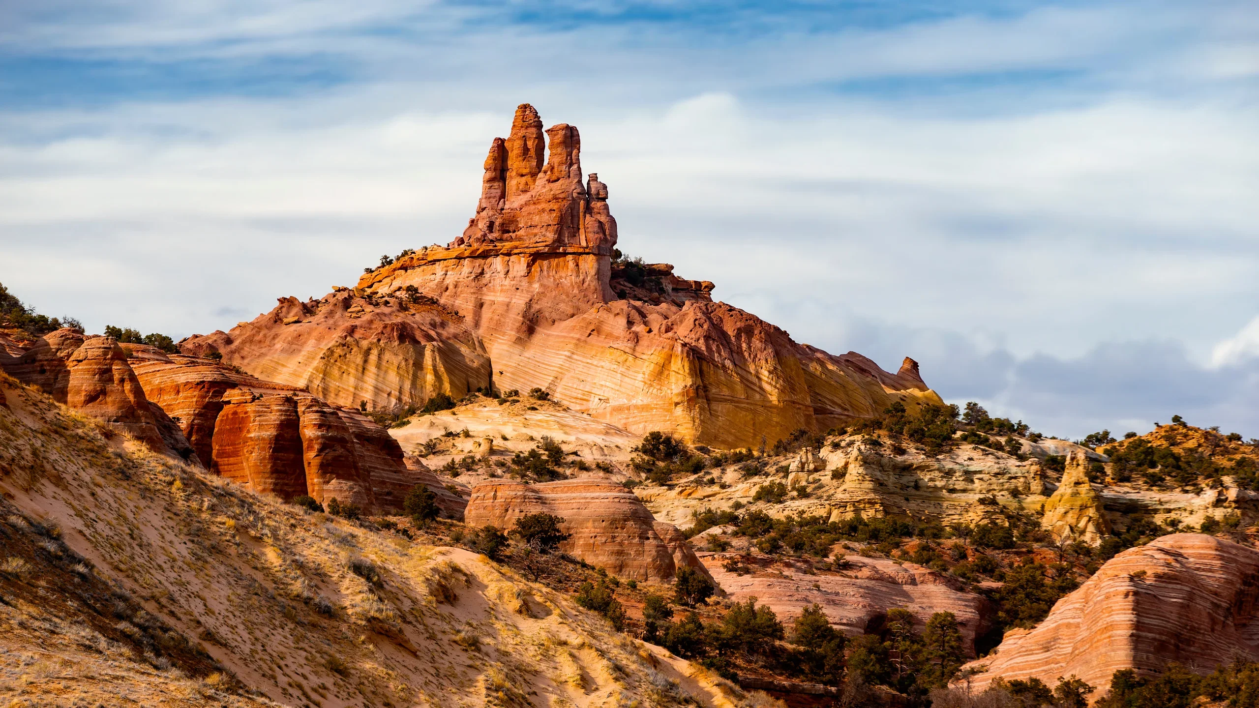 New Mexico