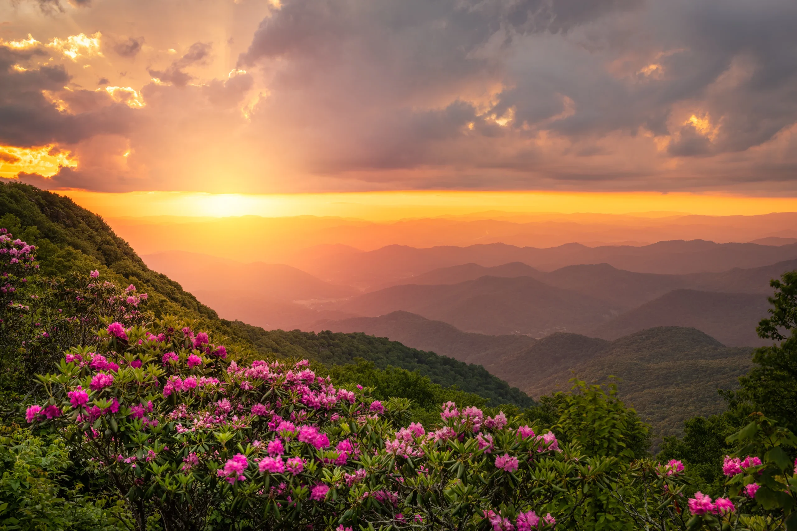 North Carolina