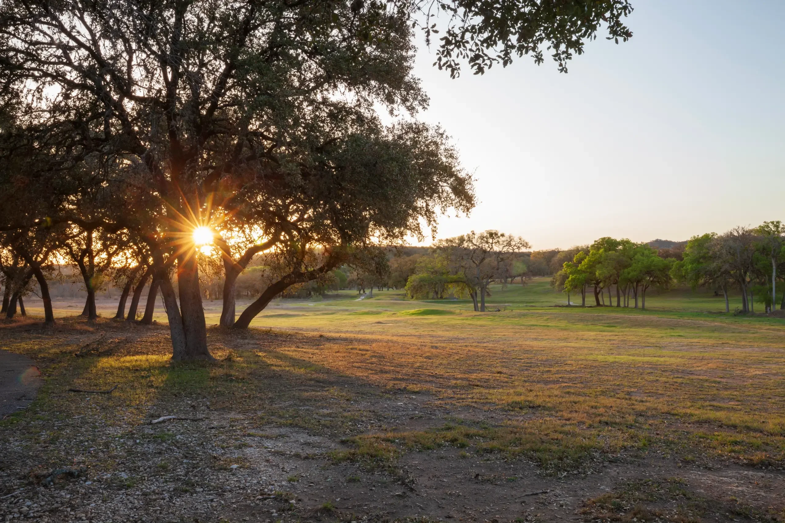 Texas