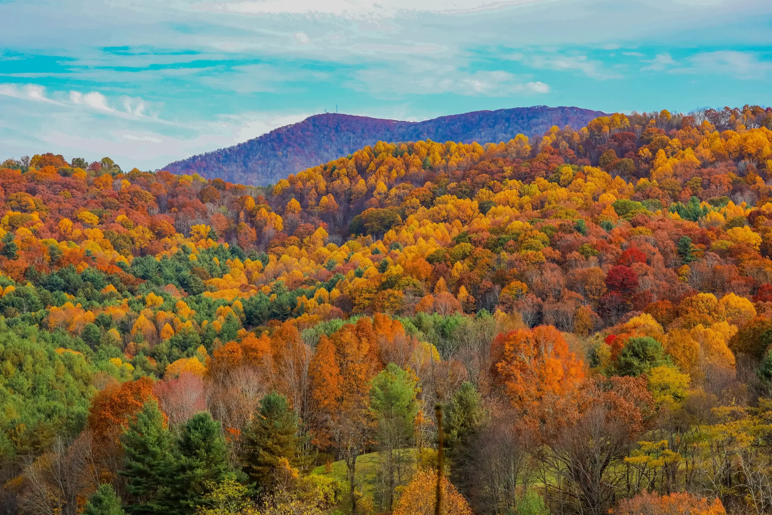 Virginia